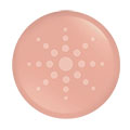 Lamp Module Blush
